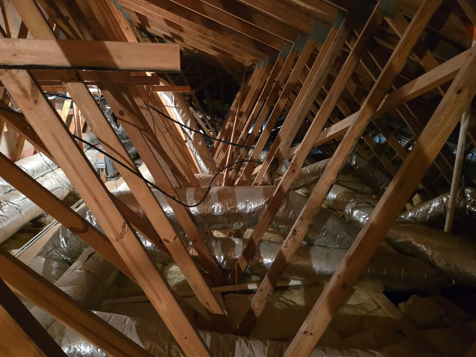Roof void and structural timbers documented by Alturascope on a specialist survey