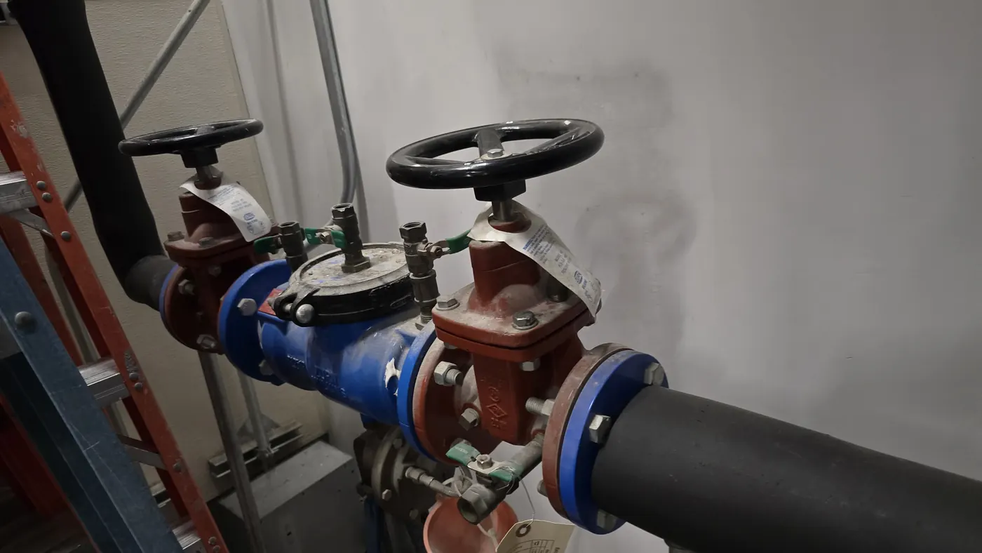 A backflow prevention assembly on an incoming domestic water service